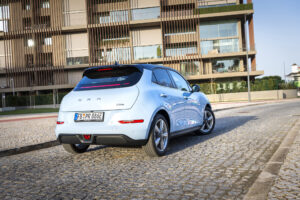 ORAFunkyCat-230216-6522