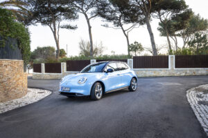 ORAFunkyCat-230216-6615